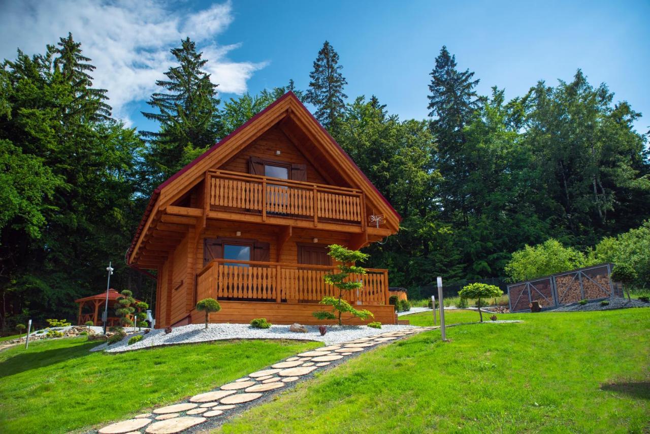 Gorskie Wytchnienie Domki Karkonosze Piechowice  Extérieur photo